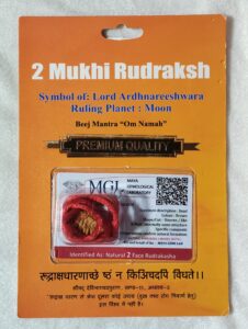 2 Mukhi Rudraksha With Cap