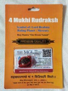 4 Mukhi Rudraksha With Cap