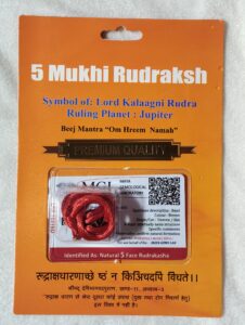 5 Mukhi Rudraksha With Cap