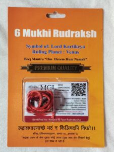 6 Mukhi Rudraksha With Cap