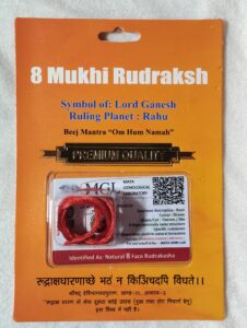 8 Mukhi Rudraksha With Cap
