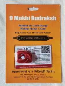 9 Mukhi Rudraksha With Cap