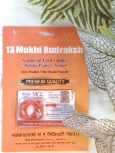 13 Mukhi Rudraksha With Cap