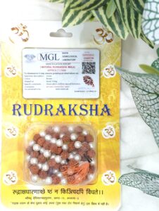 Rudraksha & Moti Mala